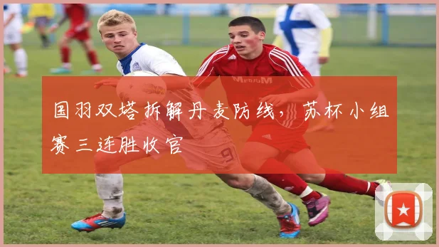 国羽双塔拆解丹麦防线，苏杯小组赛三连胜收官 - 百度体育