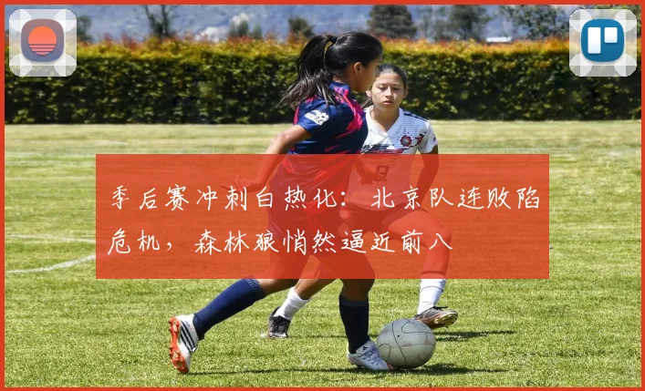 季后赛冲刺白热化：北京队连败陷危机，森林狼悄然逼近前八 - 百度体育